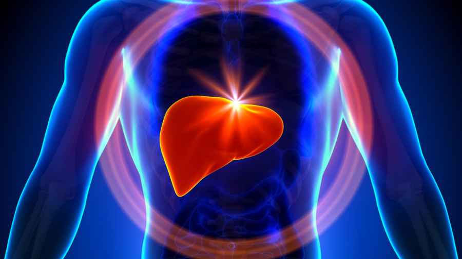 Stem cells speed growth of healthy liver tissue
